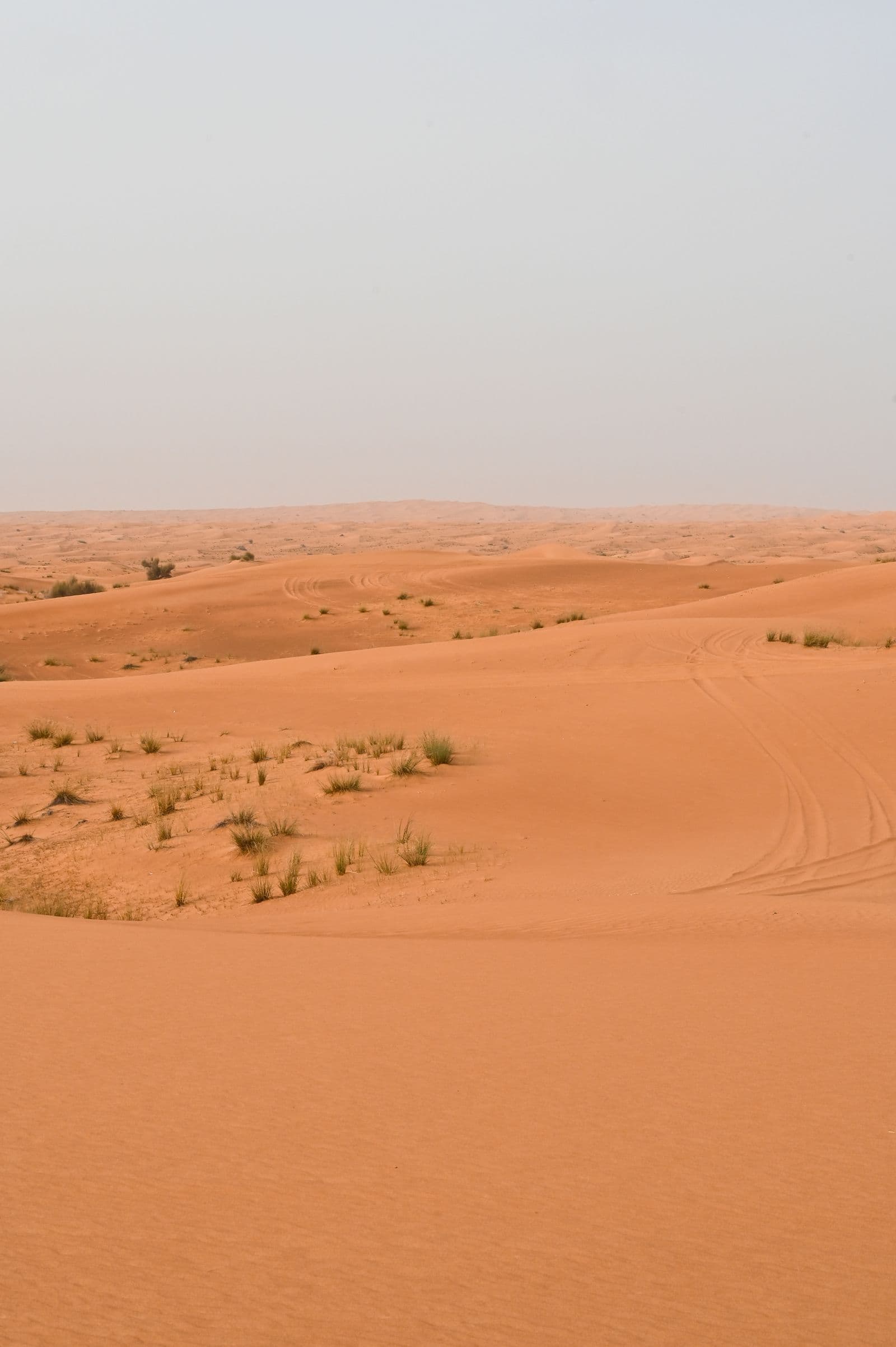 Sand dunes in the UAE desert
