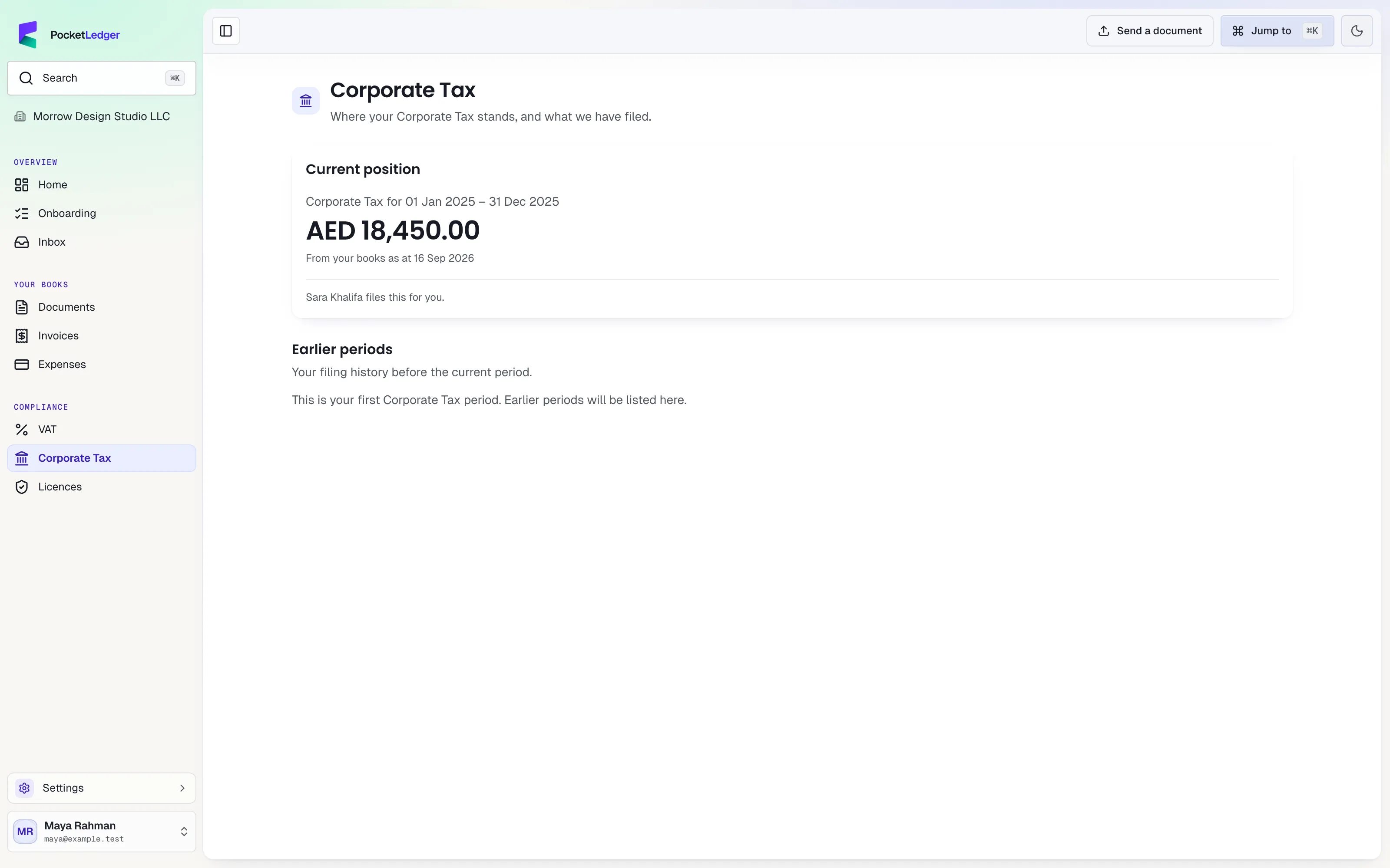 Actual client portal: your corporate tax, populated with fictional sample records.